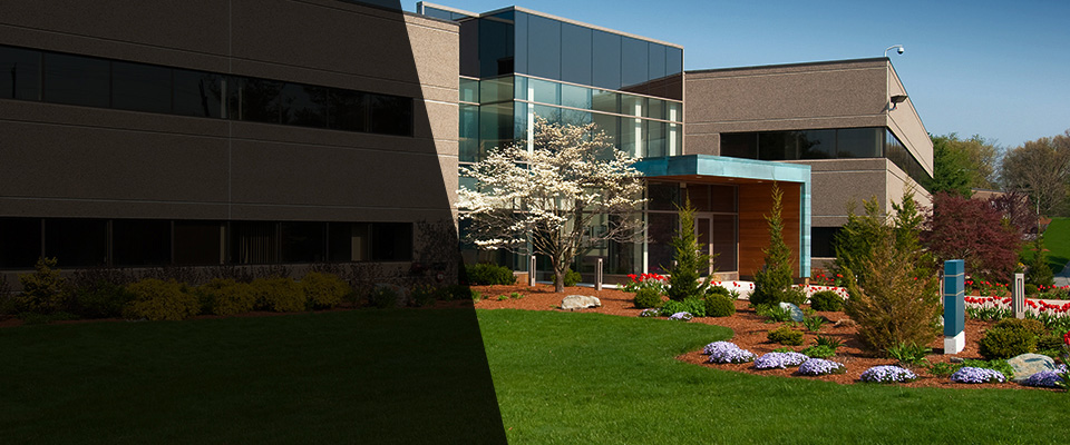 Ulysses Landscapers