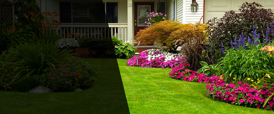 Ulysses Landscapers