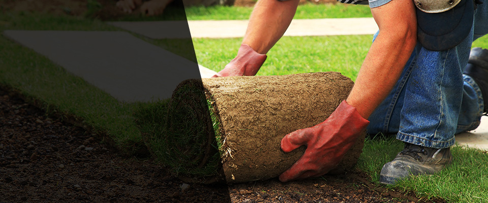 Ulysses Landscapers